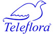 Telefrora - Flores María Jesús