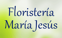 Floristería Maria Jesús | 